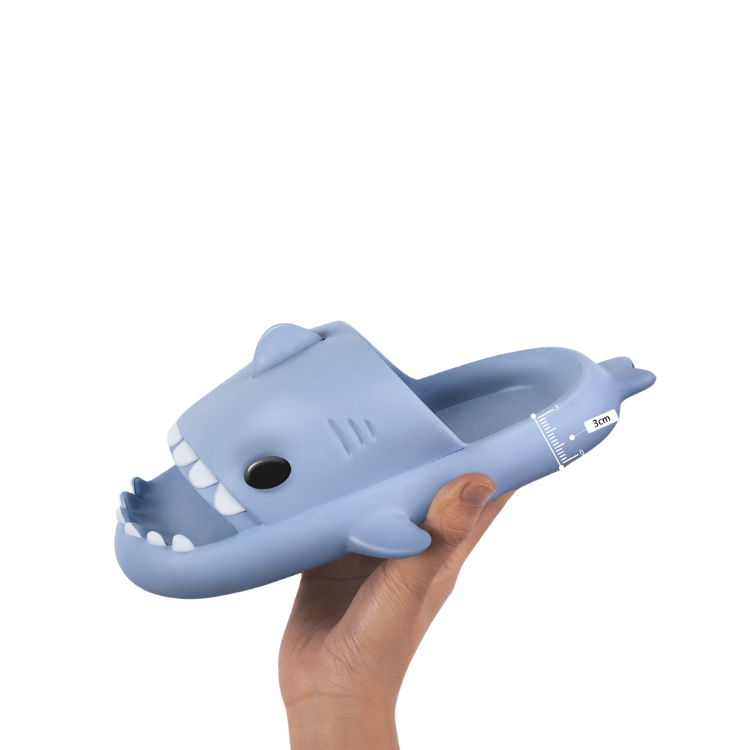 Shark Slippers
