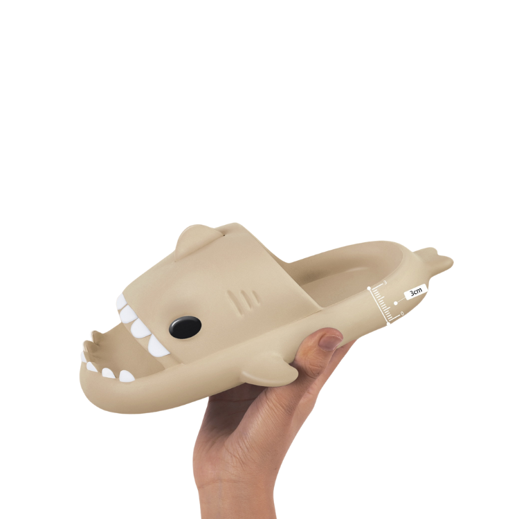 Shark Slippers