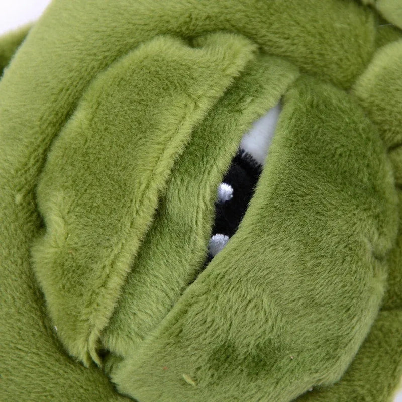 Frog Nap