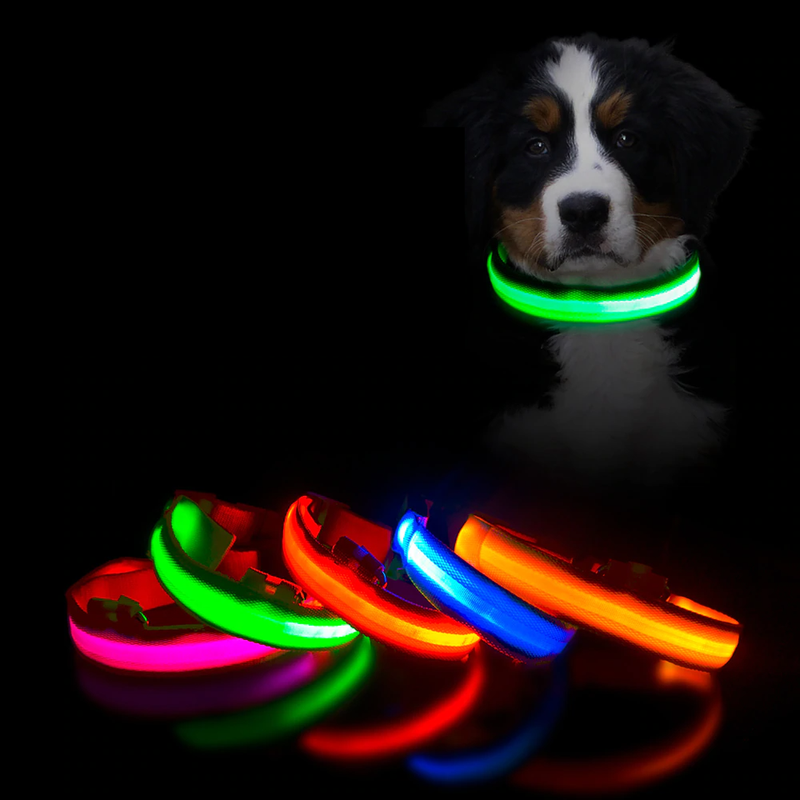 LED Collar - Hubble