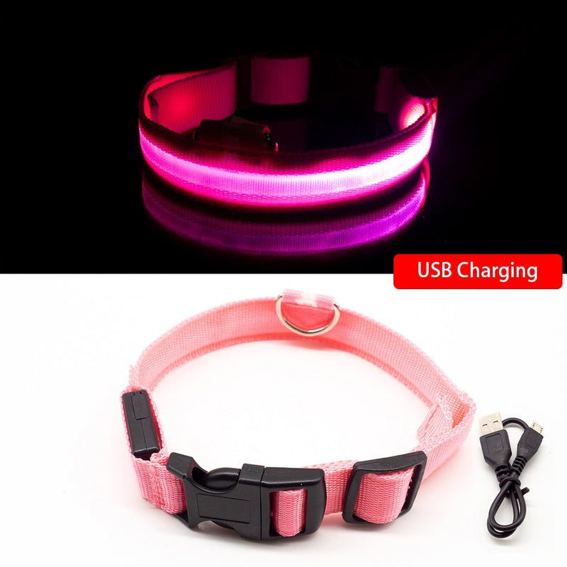 LED Collar - Hubble
