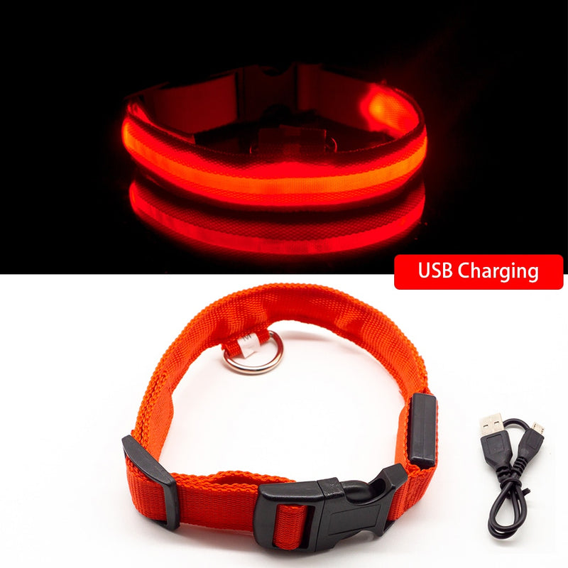 LED Collar - Hubble