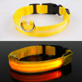 LED Collar - Hubble
