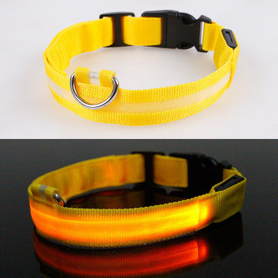 LED Collar - Hubble